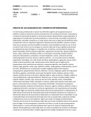 ENSAYO DE LAS GANANCIAS DEL COMERCIO INTERNACIONAL