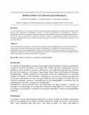 Bioplasticos: Futuro de los envases