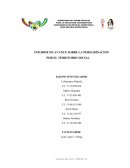 INFORME DE AVANCE SOBRE LA PEREGRINACIÓN POR EL TERRITORIO SOCIAL