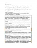 Las pruebas de software