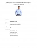 Investigacion de mercados globales