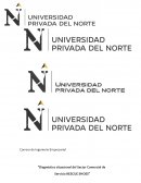 Diagnóstico situacional del sector comercial de servicio Rescue Shoes