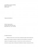 EL PROCESO INICIAL.Observación en terreno