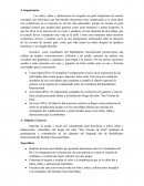 Los niños, niñas y adolescentes de acogida