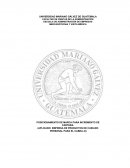 Posicionamiento de Marca Para Productos de Cuidado Capilar