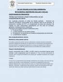 MITOCONDRIAS, RESPIRACIÓN CELULAR Y NUCLEO