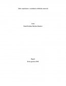 Taller reposiciones y vocabulario exhibición comercial