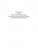 Analogías metafóricas