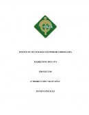 MARKETING MIX 4 P`S PROYECTOS PepsiCo