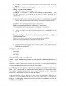 Señales y caracteristicas del nuevo escenario mundial, al inicio del siglo XXI