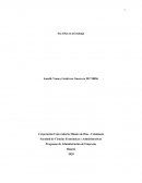 Ensayo, Soy feliz en mi trabajo