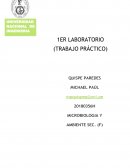 Niveles de Bioseguridad