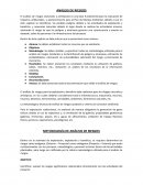 Análisis de Riesgos. Plan de Manejo Ambiental