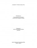 Actividad N° 4 Taller de Cultura y Paz