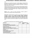 Actividad Semana 4: Matemática Séptimo Básico