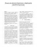 Proceso de división bacteriano y duplicación del DNA bacteriano