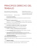 PRINCIPIOS DERECHO DEL TRABAJO