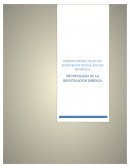 TESINA PREVENCION DEL SECUESTRO EN TOLUCA