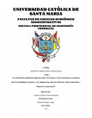 Ensayo de la Tributación Ambiental