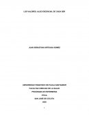 LOS VALORES, ALGO ESCENCIAL DE CADA SER