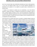 DESHIELO DE LOS GLACIARES ARGENTINOS