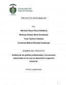 Análisis de los perfiles profesionales y los sectores industriales en los que se desarrolla el ingeniero industrial