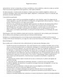 Resumen de regimenes basicos