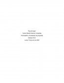 Enliste y explique la composición básica de un flujo de caja para un proyecto puro y financiado