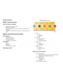 INBOUND MARKETING TECNICAS