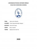 Ramas de la filosofia