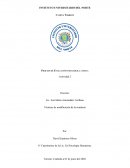 Resumen del proceso de evaluación psicológica