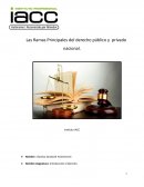 Las Ramas Principales del derecho público y privado nacional