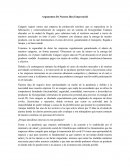 Argumentos De Nuestra Idea Empresarial