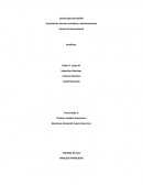 ANALISIS FINANCIERO SOLINSA GC SAS