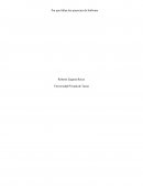 Por que fallan los proyectos de Software