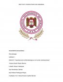 Importancia de la microbiología en el mundo contemporáneo