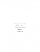 Liderazgo, grupos y equipo de trabajo