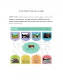 CONSTITUCIÓN POLÍTICA DE COLOMBIA