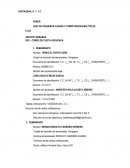 Demanda proceso monitorio