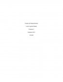 Fuentes de financiamiento