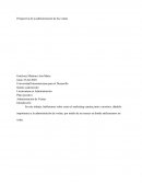 Perspectiva de la administración de las ventas