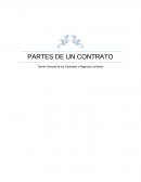 Teoría General de los Contratos y Negocios Jurídicos