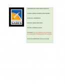 Con qué conflictos te has enfrentado en la organización e implementación de tu proyecto, y cómo lo has resuelto?