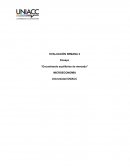 Ensayo “Encontrando equilibrios de mercado”