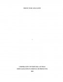 Proyecto de aplicación - Estrategia Zapatos del sur S.L