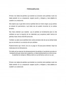Ensayo sobre Hidrocarburos