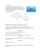 Fisica Ondas