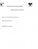 En busca de las gemas del conocimiento