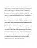 Avance de la peregrinación por el territorio social