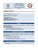 Laboratorio capacitancia. Campo eléctrico